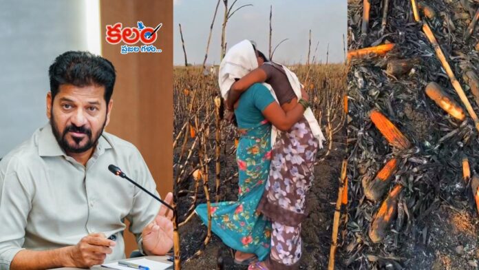 CM Revanth Reddy