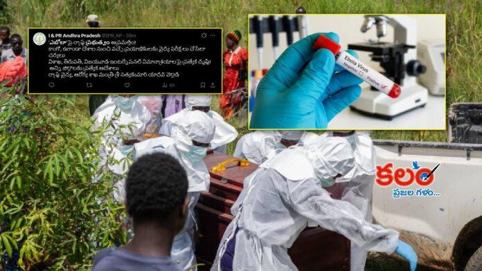 Ebola virus