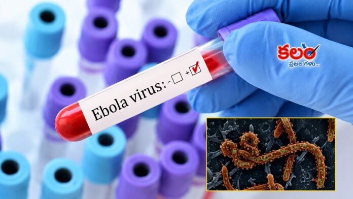 Ebola Cases