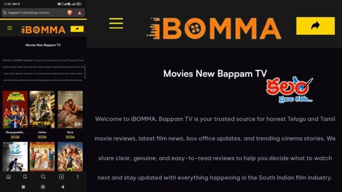 IBOMMA
