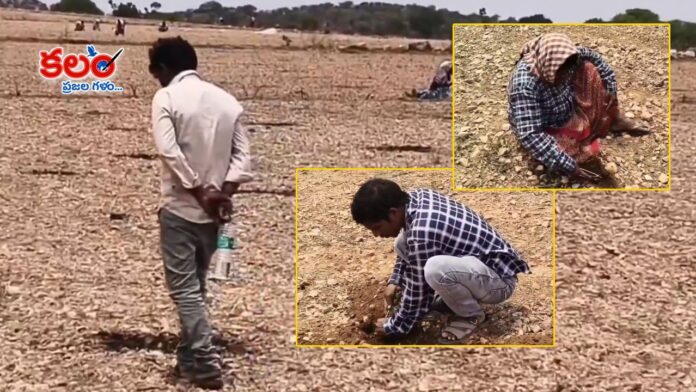 Kurnool
