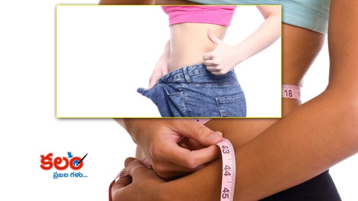 Fat Loss Plan