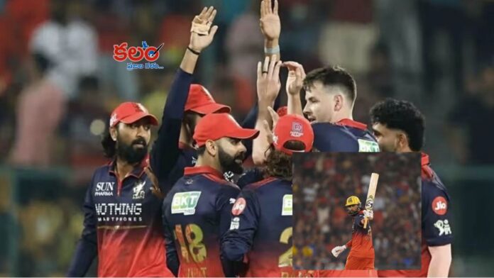 RCB MI