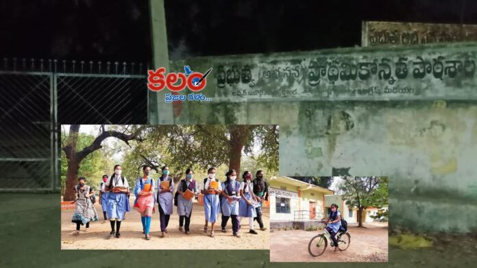 Govt Schools