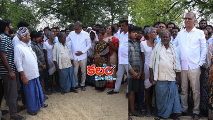 Harish Rao