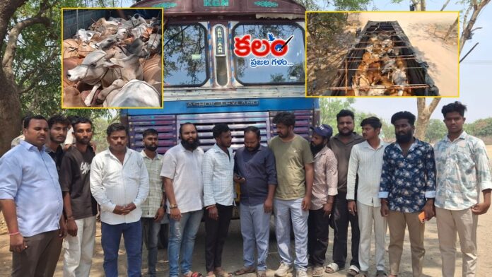 Medak