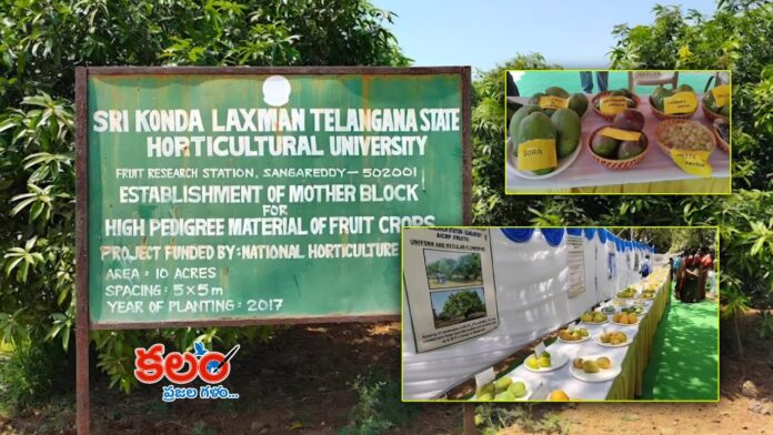Sangareddy