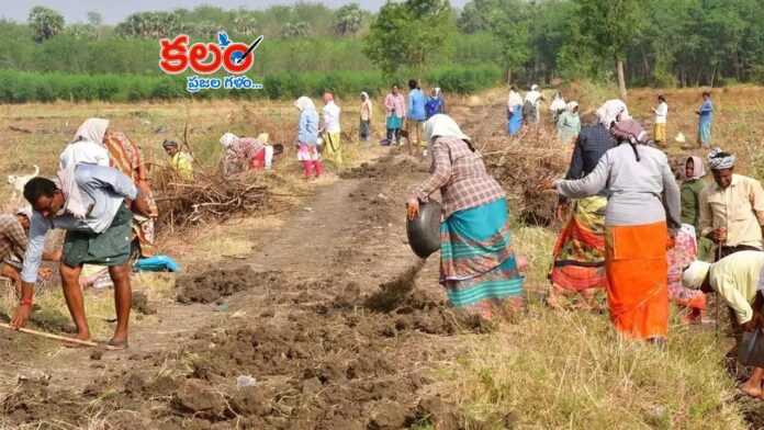 MGNREGA Scheme
