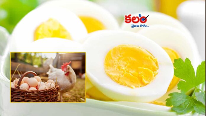 Eating Eggs