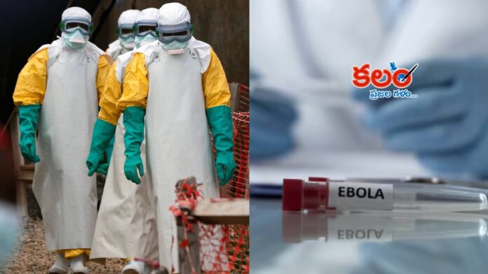 Ebola Virus