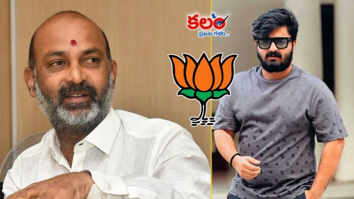 BJP Crisis