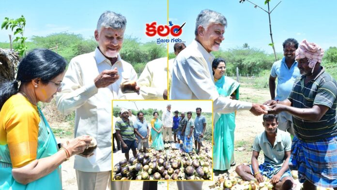 CM Chandrababu