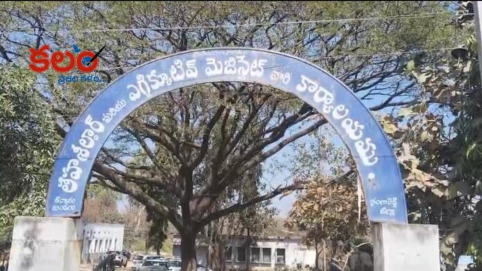 Sangareddy