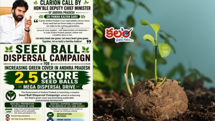 AP Seed Balls