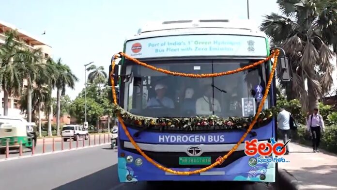 Hydrogen Buses