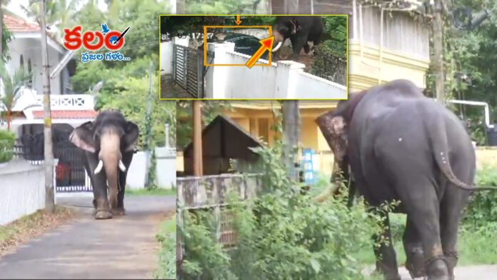 Thrissur