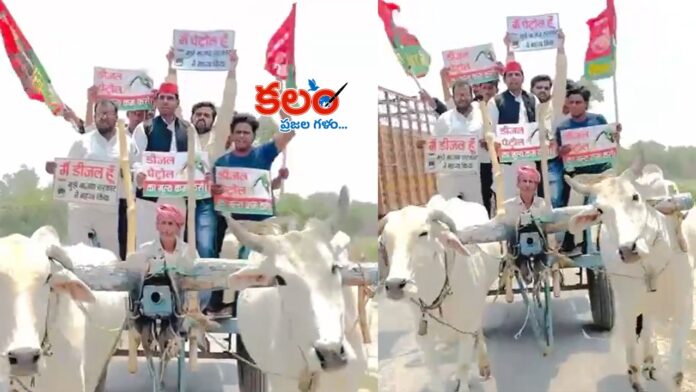 Akhilesh Yadav