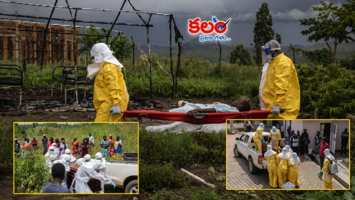 Ebola Virus