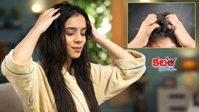Hair Care Tips