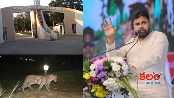Pawan Kalyan
