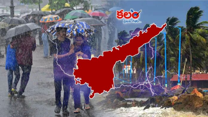 AP Weather
