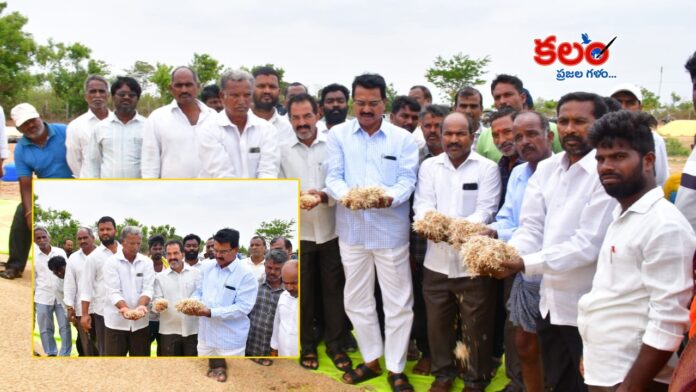 Niranjan Reddy