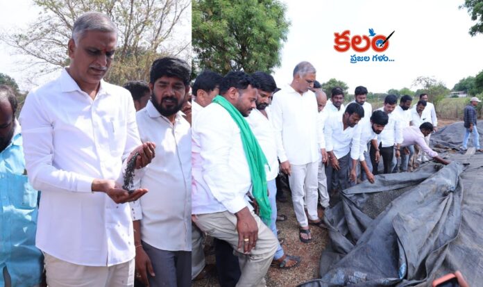 Harish Rao
