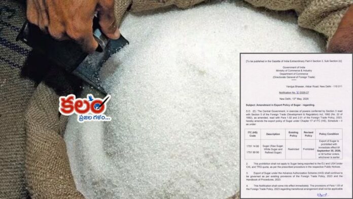 sugar export