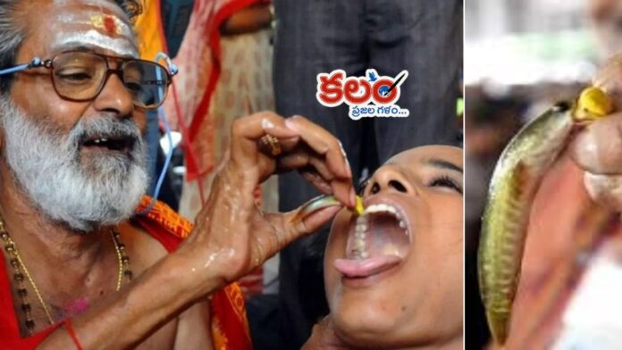 Bathini Fish Prasadam