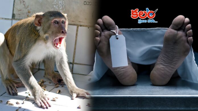 Bhupalpally