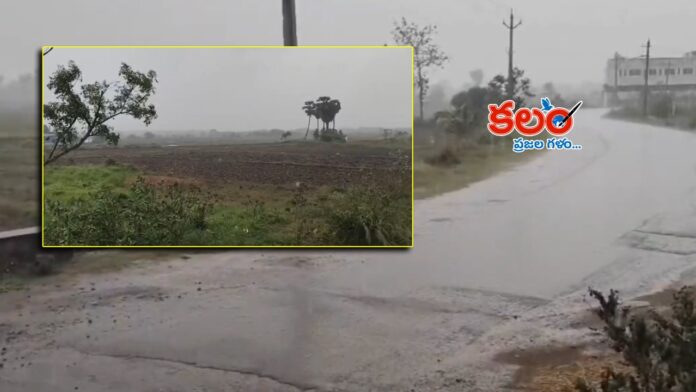 Heavy Rain