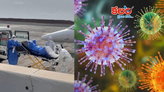 Hanta Virus