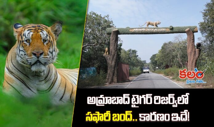 Amrabad Tiger Reserve
