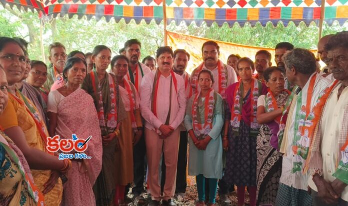 Bhadradri Politics