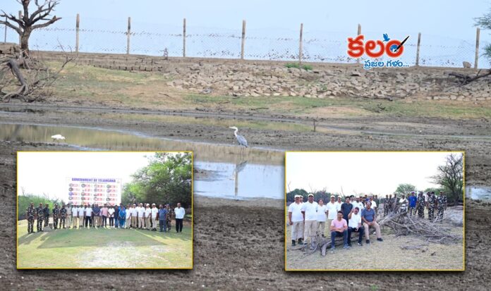 Bird Walk