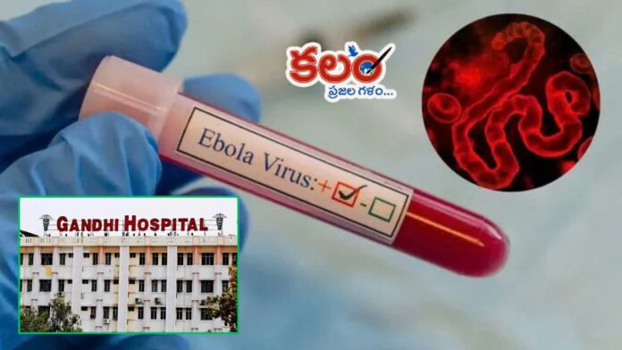 Ebola cases