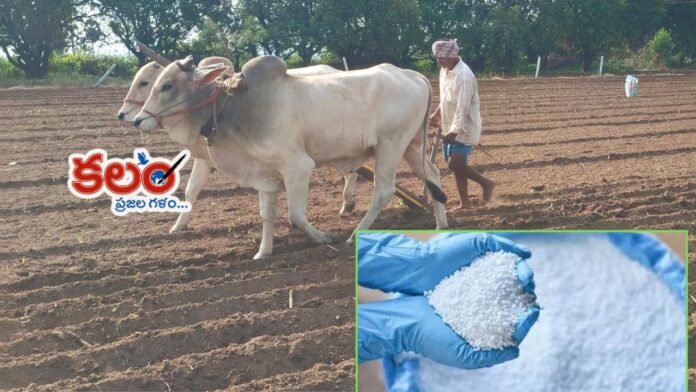 Fertilizer Shortage