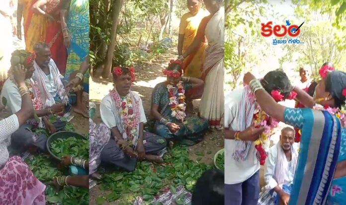 Nature Themed Wedding