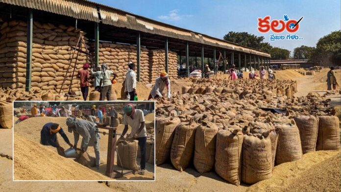 Paddy Procurement