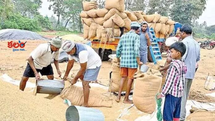 Telangana Grain Procurement
