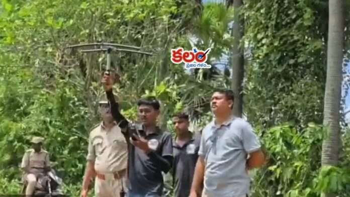 Tiger Movement