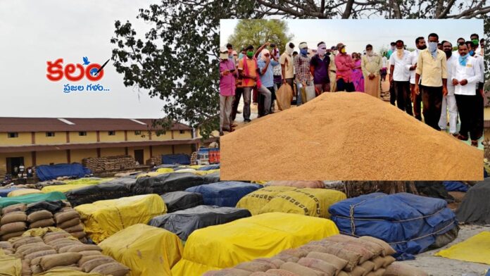Paddy Procurement