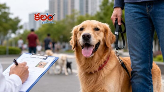 Dog Registration