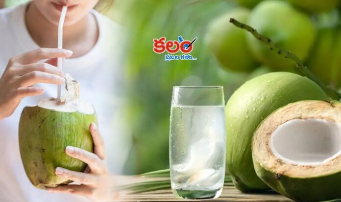 Coconut Water