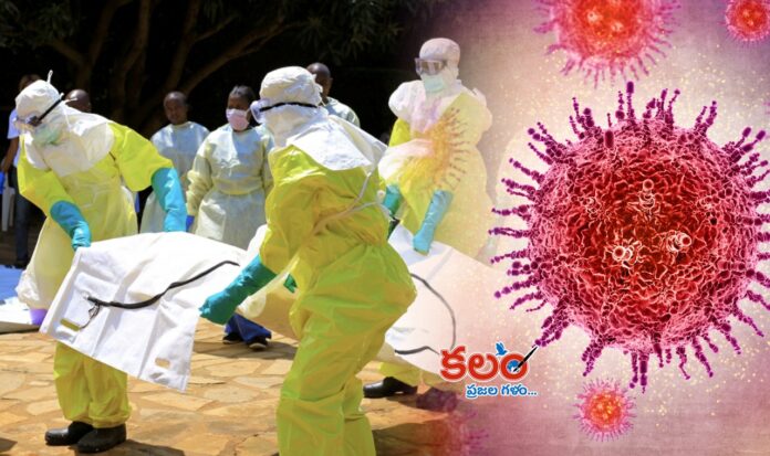 Ebola Virus