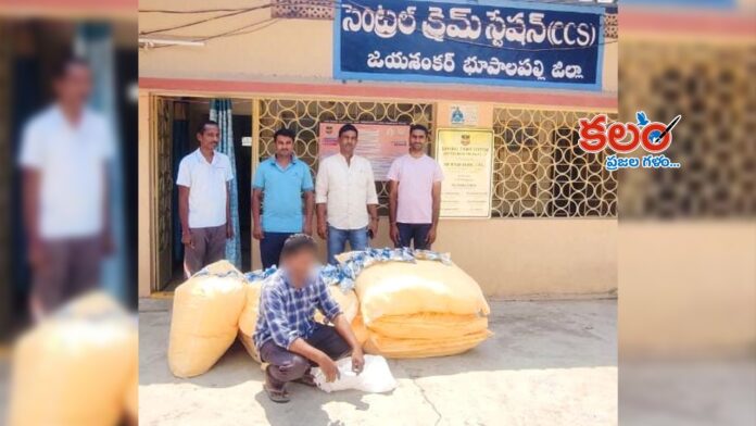 Bhupalpally