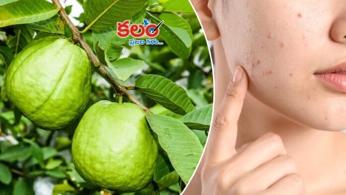 Skin Care Tips