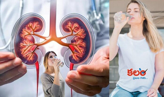 Kidney Health