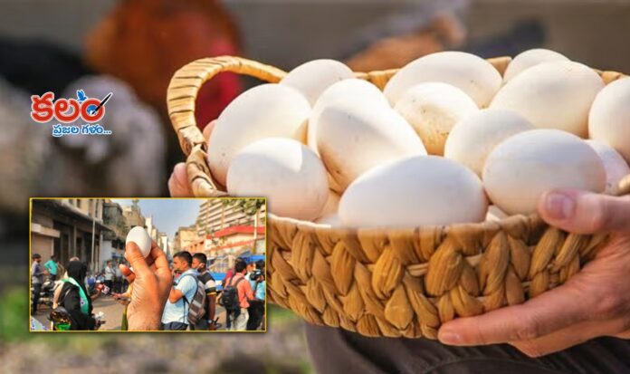 Egg Price Hike
