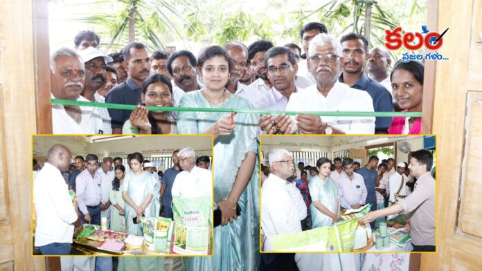 Collector Priyanka